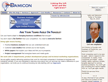 Tablet Screenshot of damicon.com